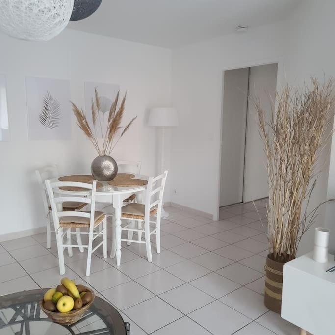 Appartement 63 M2, Tout Confort, Climatise. Saint-Cyprien  Exterior foto
